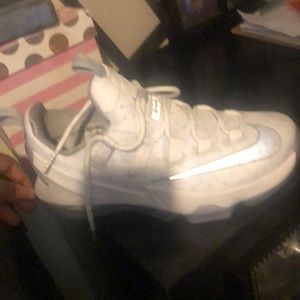 Nike Lebron
